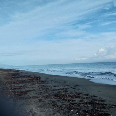 Un Nid Douillet En Bord De Plage !! Люссиана Экстерьер фото